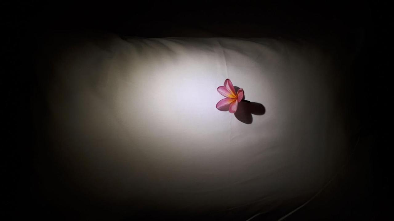 Bujang Lapuk Hostel セコトン エクステリア 写真